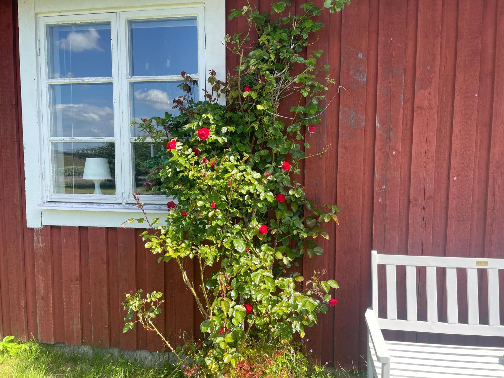 Kapelludden Oestra Oeland Villa Köpingsvik Екстериор снимка